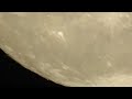 Blue moon. 19.8.24