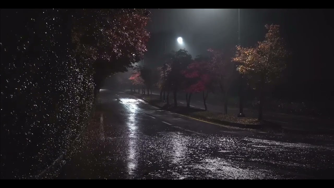 Dark, Rainy Street / 12 hours of ambient rain for restful sleep