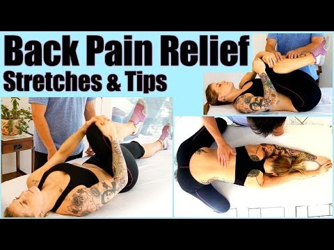 Back Pain Stretches & Exercises - At Home Pain Relief,  Physical Therapy & Sports Massage