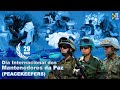 Dia Internacional dos Mantenedores da Paz (Peacekeepers) - Homenagem do Ministério da Defesa 2022