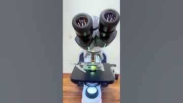 Pickled Cucumber Under A microscope| TULO - Microscope #shorts #cucumber #food