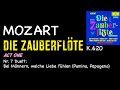 Miniature de la vidéo de la chanson Die Zauberflöte, K. 620: Act I, Scene Xiv. No. 7 Duet "Bei Männern, Welche Liebe Fühlen" (Pamina, Papageno)