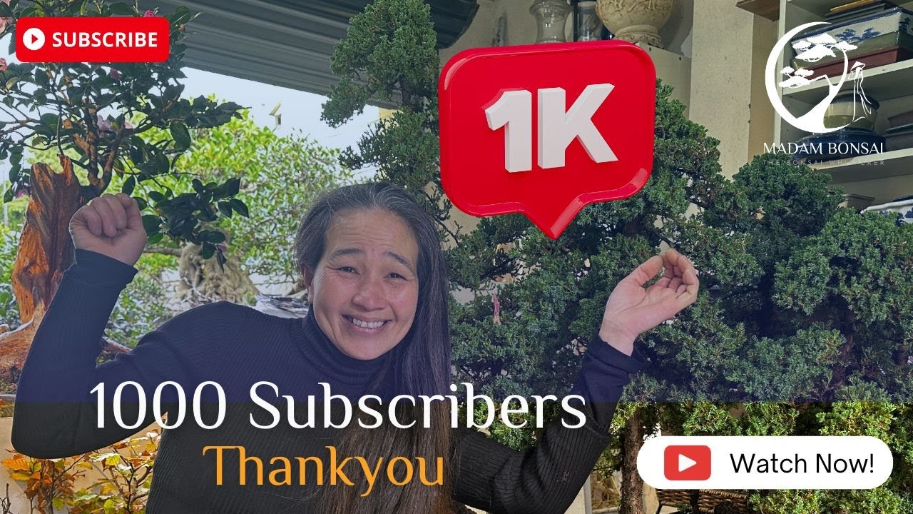 Madam Bonsai 1000 Subscribers