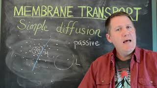 4d Simple diffusion