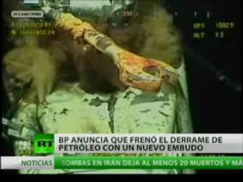 Video: Derrame De Petróleo De BP, Parcialmente Culpado Por La Muerte De Delfines Del Golfo