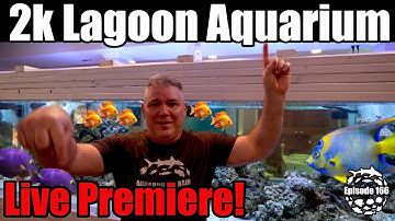 2000 Gallon Marine Community & Reef Lagoon Aquarium Goes Live!