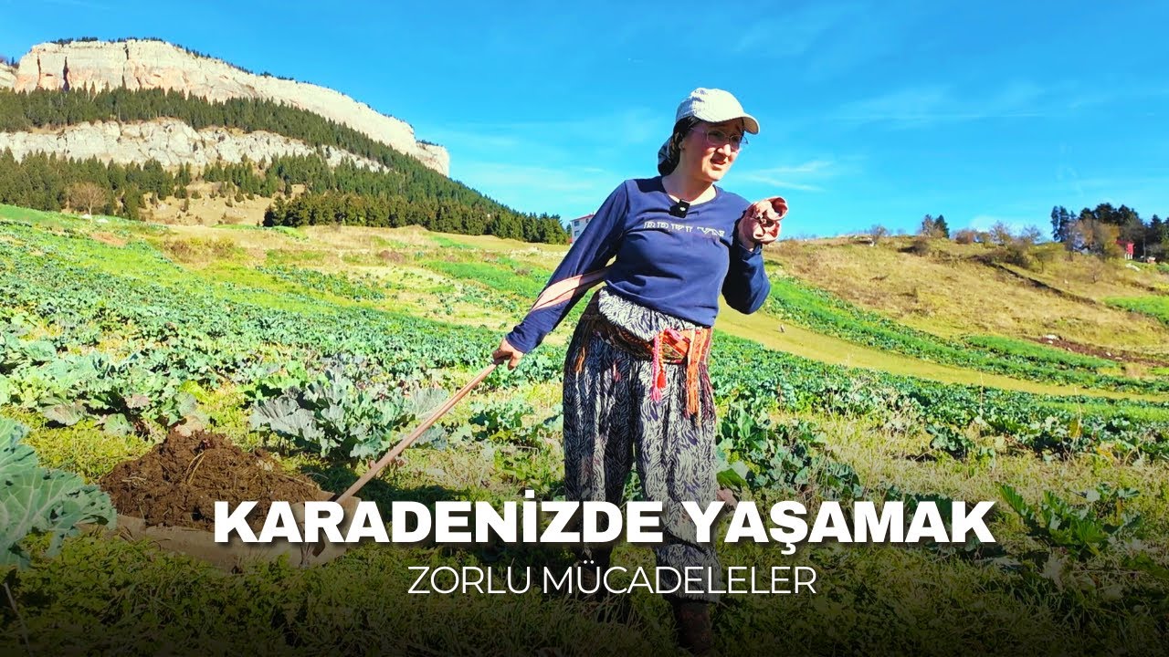 Zorluklarla Dolu Köy Hikayesi | Karadenizde Yaşamak | Belgesel