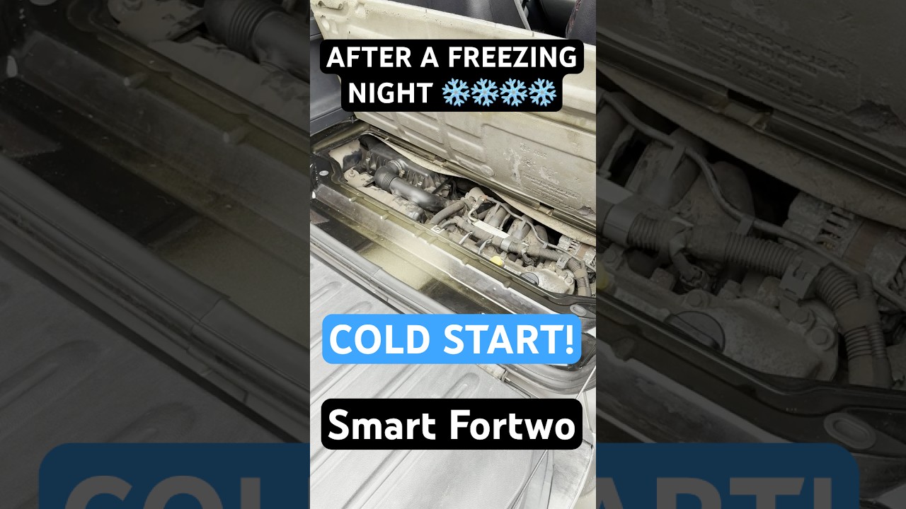 Smart Fortwo Cold Start 
