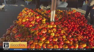 Get the last of the summer fruits and veggies at this farmers market!