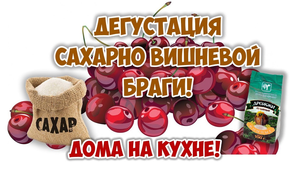 Дегустация браги из сахара с добавлением вишни - YouTube