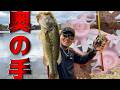 産卵期の全く釣れないタイミングで大ピンチ！久々にアレを解禁する！！