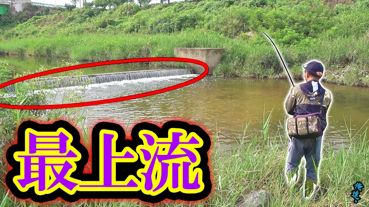最高の水が流れてくる最上流スポットにルアーを投げると…