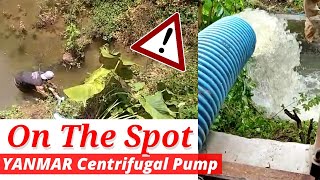 On The Spot TEST PART 2 Yanmar Centrifugal Pump 2 Dim &amp; Irigation Pump 6&quot; Pompa Air Irigasi DiLokasi