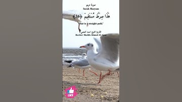 وان الله ربي وربكم فاعبدوه هذا صراط مستقيم | سورة مريم #دعاء_ورسالة Surah Maryam