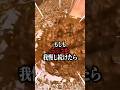 もしもう〇こを我慢し続けたらどうなるんでしょうか？