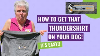 How to Put on a THUNDERSHIRT! It's EASY!