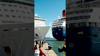 Cruise Ships​​ and Cargo Ship Collide While Entering the Port! #viral #shorts