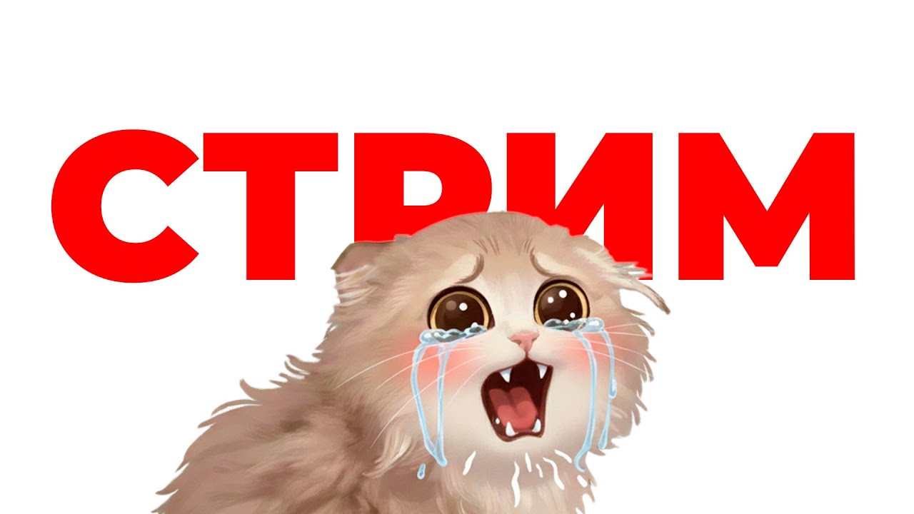 требуется курик на гидру!!