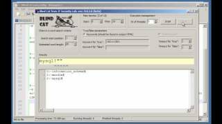 Blind Sql Injection Exploitation With The Blind Cat Tool