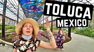 The Mexican City they told us NOT to visit screenshot 1