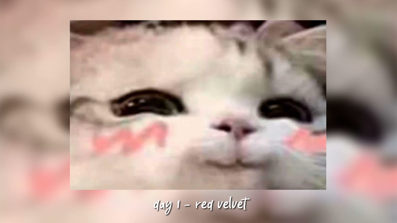 day 1 - red velvet [speed up]