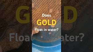 Unveiling the Secret: Preventing Gold from Floating in Water #floatinggold #hack