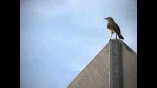 Lil Wayne - Drop The World (dubstep mixing rmx)