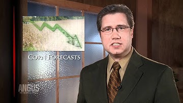 The Angus Report, Feb. 13, 2012: Top Industry News