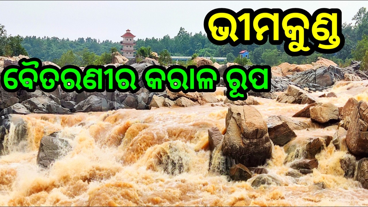 ଦେଖିଲେ ଭୟ ଲାଗୁଚି | Baitarani River Flood | bhimkund odisha