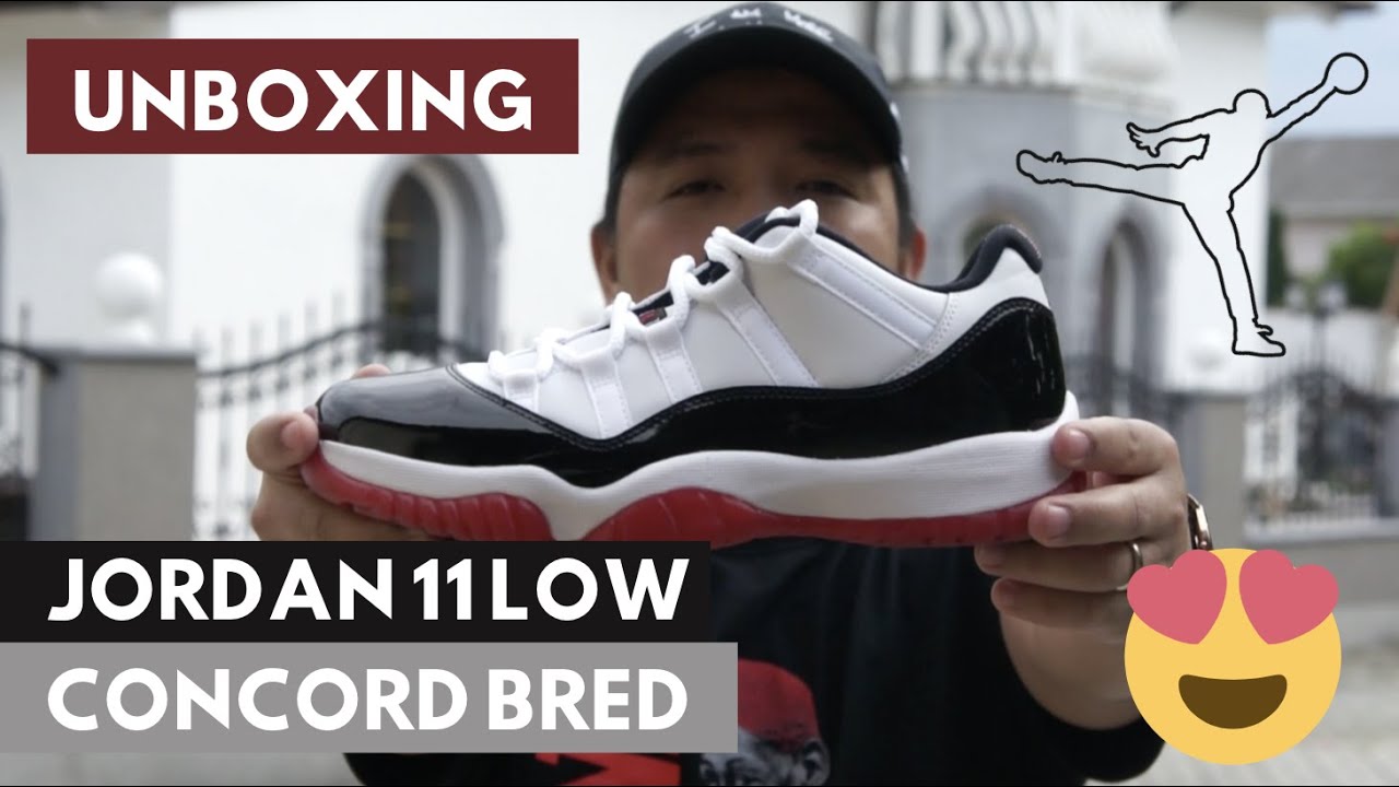 jordan 11 concord meets bred