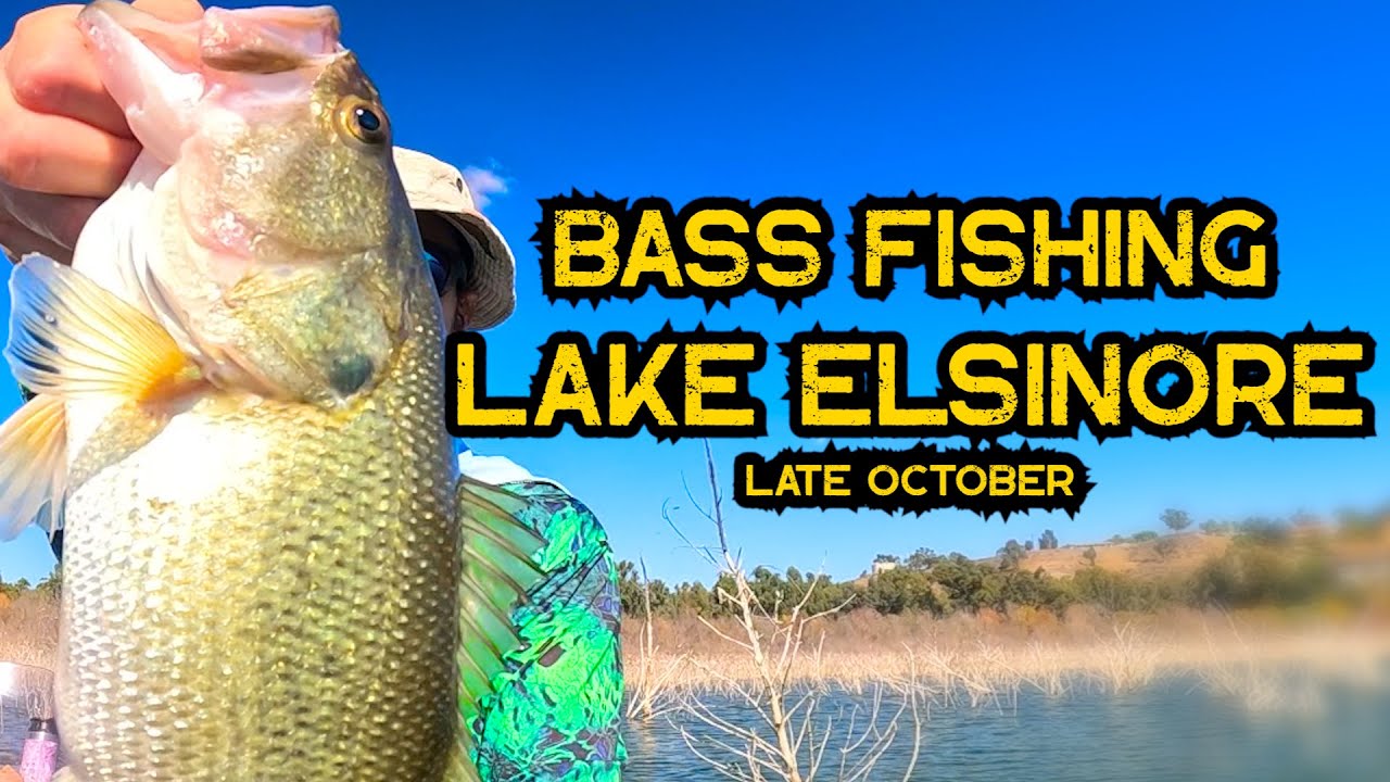 Bass Fishing Lake Elsinore Late October 2025 #bass #fishing #lakeelsinore