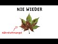 Nährstoffprobleme Bei Cannabis Verhindern Nährstoffprobleme Bei Cannabis Verhindern