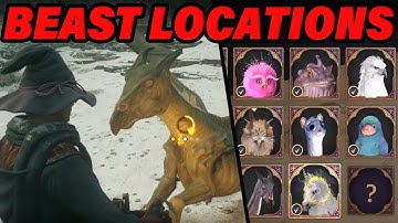 HOGWARTS LEGACY BEAST GUIDE - Beast Locations In Hogwarts Legacy!