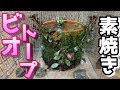 【めだかのビオトープ】園芸用の素焼き鉢で簡単コケリウム風ビオトープの作り方Water Garden,mini pond.