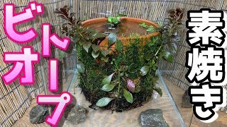 【めだかのビオトープ】園芸用の素焼き鉢で簡単コケリウム風ビオトープの作り方Water Garden,mini pond.