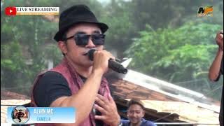 CAMELIA VOC. ALVIN MC || DR MUSIK ENTERTAINMENT