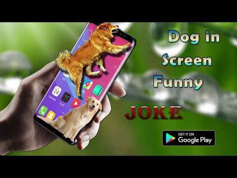 dog-in-phone-screen-funny-joke-|-android-application-|-prank-apps