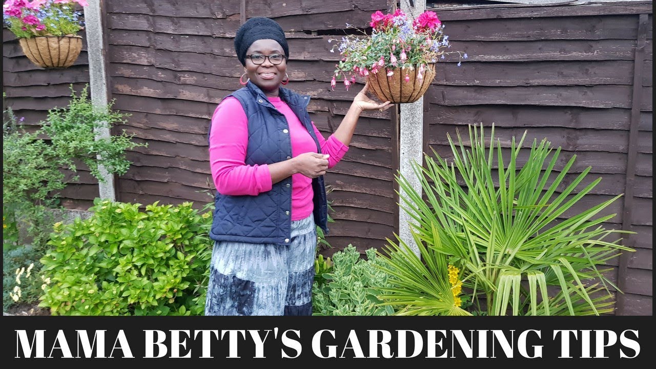 Basic Garden tips - EP3: How to make a hanging basket - YouTube