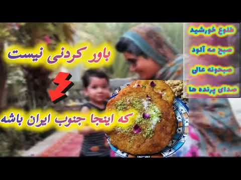 طلوع زندگی در قلب نخلستانهای رویدر این ویدیو فرار آرامبخش به باغ شهر زیبای رویدر در جنوب ایران