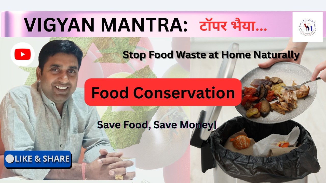 Food conservation Save Food, Save Money! Easy Food Conservation Methods Everyone Should Know