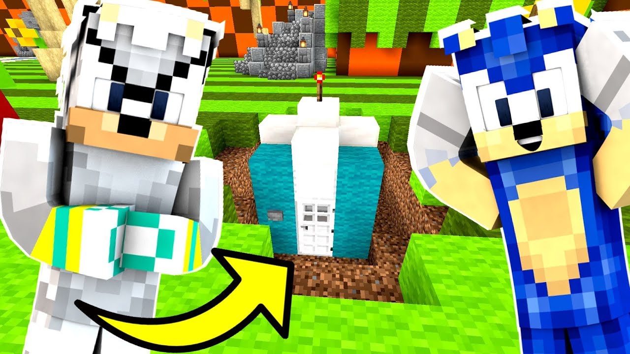 Minecraft Sonic The Hedgehog Silver The Hedgehog From The FUTURE!