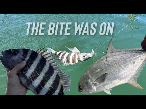Can't Believe I Caught a Pompano on This Bait!!! - YouTube