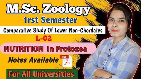 M.Sc. Zoology 1rst Semester || Nutrition In Protozoa || PROTOZOA | Non- Chordata |