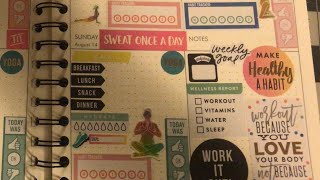 Plan With Me/Walmart Pen & Gear Wellness Planner