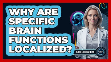 Why Are Specific Brain Functions Localized?