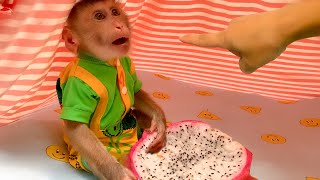 Monkey Puka secretly eats while Mom is away