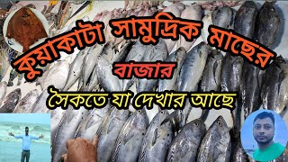 কুয়াকাটা মাছের বাজার ? Kuakata Sea Beach Fish Fry ?Sea Food | Kuakata