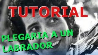 Video thumbnail of "[TUTORIAL] Plegaria a un labrador - Víctor Jara"