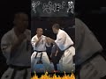 Artofight karate viral fight art kyokushin artofight