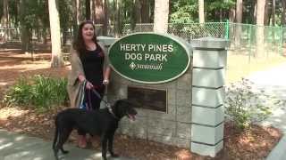 Savannah How: 6 tips for dog park etiquette